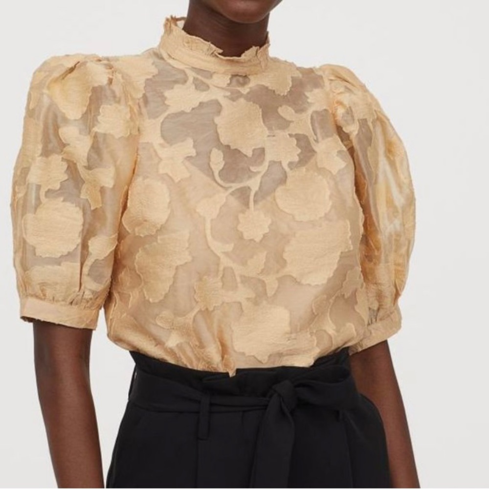 H&M beige tan puffed sleeved organza sheer cottagcore feminine top Size XXS